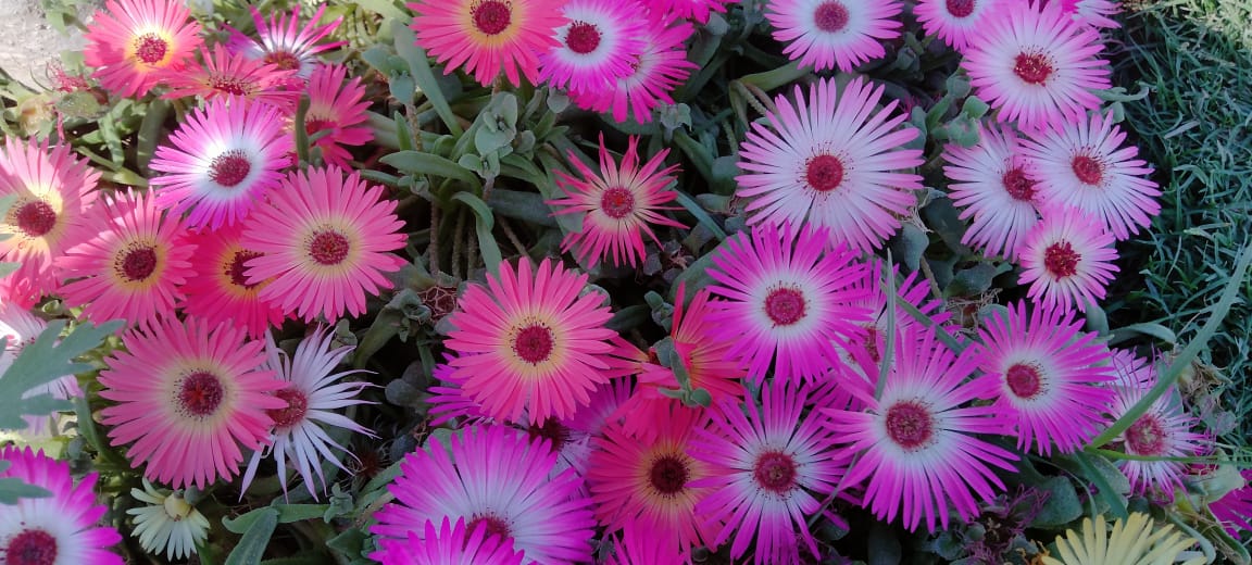 Change your look and your attitude